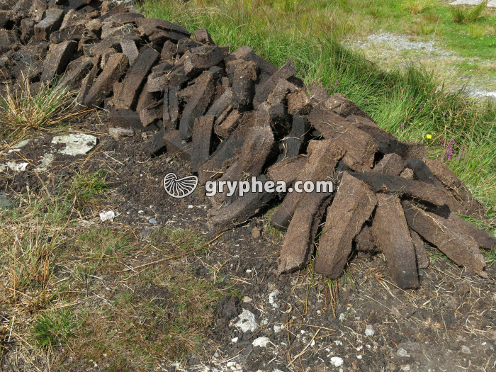 Tourbe  (Connemara, Irlande) - gryphea.org